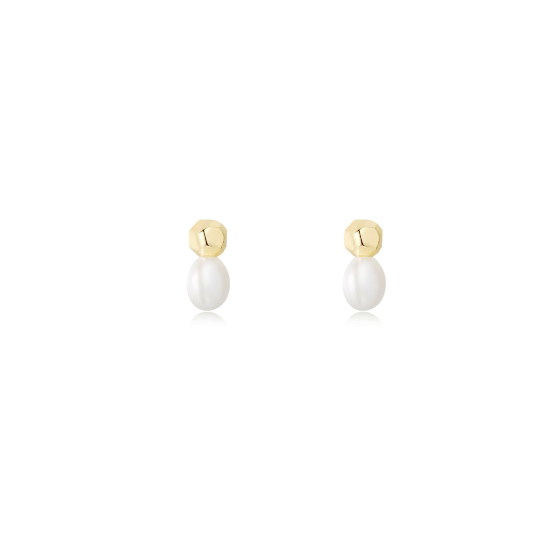 Tart Earrings -Solid Gold